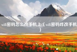 wifi密码怎么改手机上（wifi密码咋改手机）