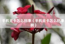 手机无卡怎么回事（手机无卡怎么回事啊）