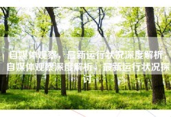 自媒体观察，最新运行状况深度解析，自媒体观察深度解析，最新运行状况探讨