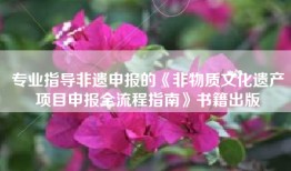 专业指导非遗申报的《非物质文化遗产项目申报全流程指南》书籍出版