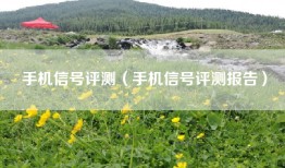手机信号评测（手机信号评测报告）