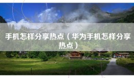 手机怎样分享热点（华为手机怎样分享热点）