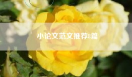 小论文范文推荐8篇