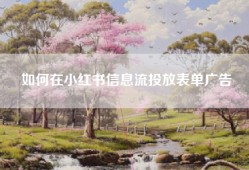 如何在小红书信息流投放表单广告