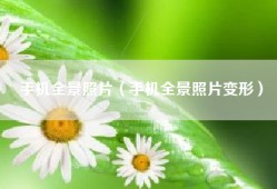 手机全景照片（手机全景照片变形）