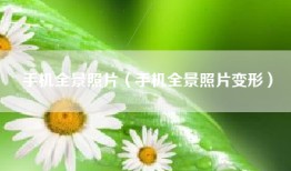手机全景照片(手机全景照片变形)