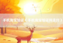 手机淘宝验证（手机淘宝验证码支付）