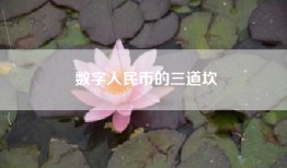 数字人民币的三道坎