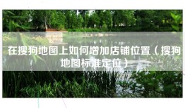 在搜狗地图上如何增加店铺位置（搜狗地图标准定位）
