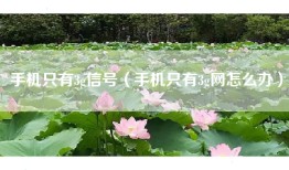 手机只有3g信号（手机只有3g网怎么办）