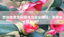 想做美食类自媒体当副业赚钱，发展前景如何？