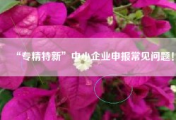 “专精特新”中小企业申报常见问题！