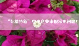 “专精特新”中小企业申报常见问题！