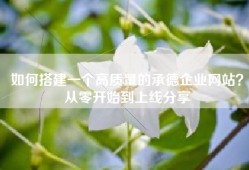 如何搭建一个高质量的承德企业网站？从零开始到上线分享
