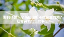 如何搭建一个高质量的承德企业网站？从零开始到上线分享