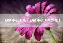 自制手机天线（自制手机天线教程）