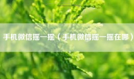 手机微信摇一摇（手机微信摇一摇在哪）