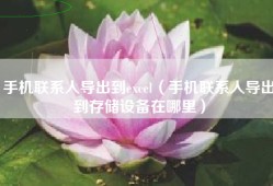 手机联系人导出到excel（手机联系人导出到存储设备在哪里）