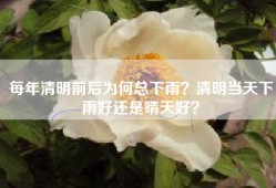 每年清明前后为何总下雨？清明当天下雨好还是晴天好？
