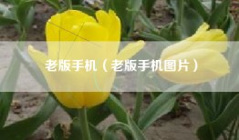 老版手机（老版手机图片）