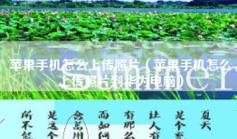 苹果手机怎么上传照片（苹果手机怎么上传照片到华为电脑）
