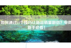 如何通过11个技巧让新品销量翻倍？电商新手必看！