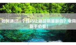 如何通过11个技巧让新品销量翻倍？电商新手必看！