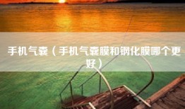 手机气囊（手机气囊膜和钢化膜哪个更好）