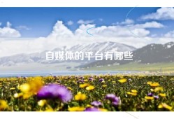 自媒体的平台有哪些