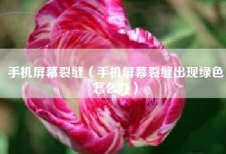 手机屏幕裂缝（手机屏幕裂缝出现绿色怎么办）