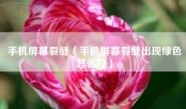 手机屏幕裂缝（手机屏幕裂缝出现绿色怎么办）