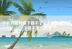 手机百度网盘下载不了（手机百度网盘下载不了图片）