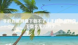 手机百度网盘下载不了（手机百度网盘下载不了图片）