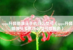 oppo升降摄像头手机什么型号（oppo升降摄像头手机什么型号厚粉色）