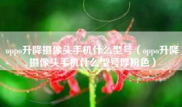 oppo升降摄像头手机什么型号（oppo升降摄像头手机什么型号厚粉色）