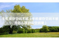 手机储存空间不够（手机储存空间不够用怎么移到云空间里）