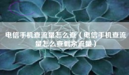 电信手机查流量怎么查（电信手机查流量怎么查剩余流量）