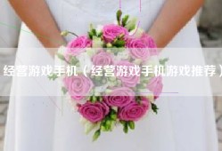 经营游戏手机（经营游戏手机游戏推荐）