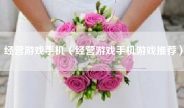 经营游戏手机（经营游戏手机游戏推荐）