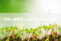 手机ps破解版（ps手机版免费破解版）