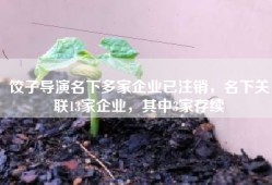饺子导演名下多家企业已注销，名下关联13家企业，其中3家存续