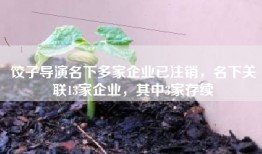饺子导演名下多家企业已注销，名下关联13家企业，其中3家存续