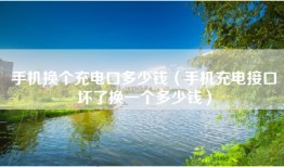 手机换个充电口多少钱（手机充电接口坏了换一个多少钱）