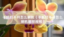 手机打不开怎么刷机（手机打不开怎么刷机教程视频）