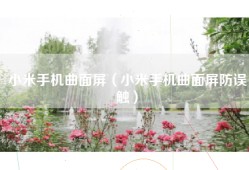 小米手机曲面屏（小米手机曲面屏防误触）