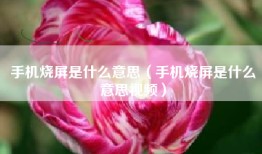 手机烧屏是什么意思（手机烧屏是什么意思视频）