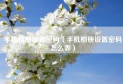 手机相册设置密码（手机相册设置密码怎么弄）