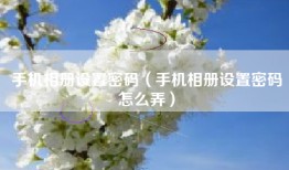 手机相册设置密码（手机相册设置密码怎么弄）