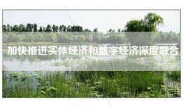 加快推进实体经济和数字经济深度融合