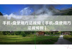手机u盘使用方法视频（手机u盘使用方法视频教）